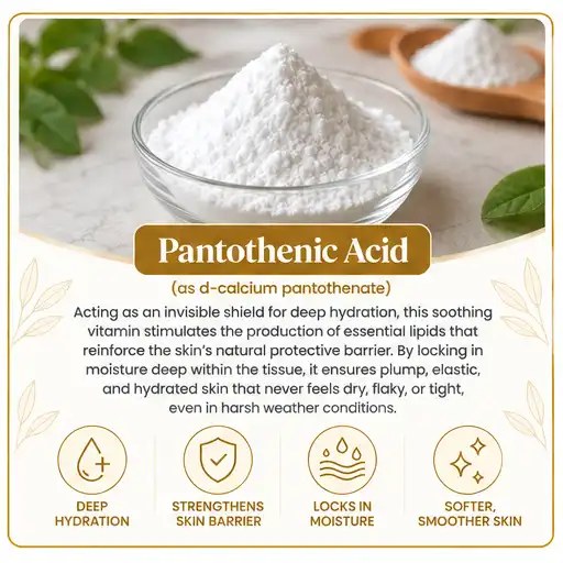 Pantothenic Acid — 5.2 mg